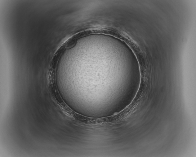 X0000116651208200912211440