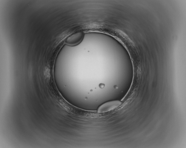 X0000116651209200912211440