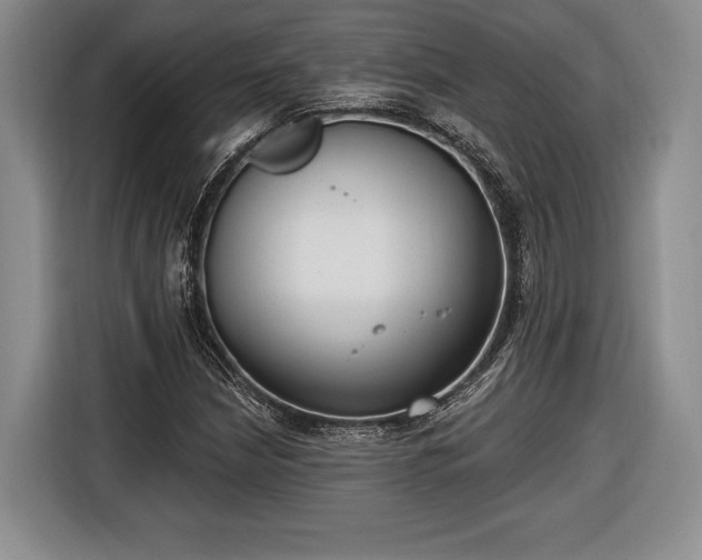 X0000116651210200912211440
