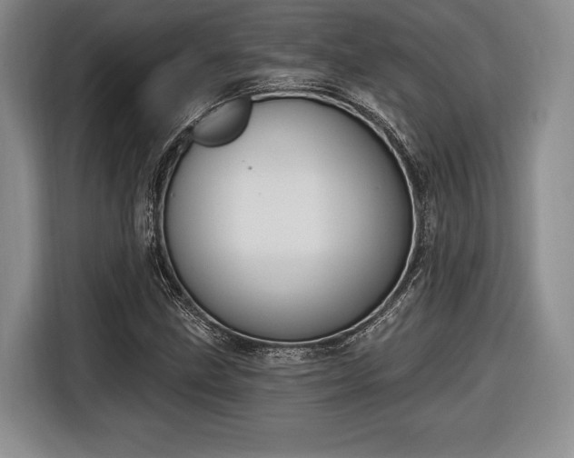 X0000116651211200912211440
