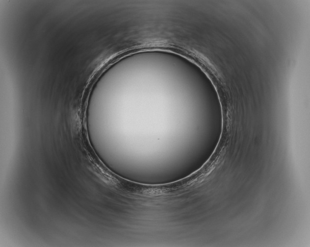 X0000116651212200912211440