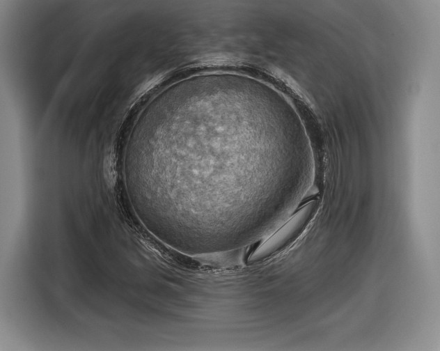X0000116651213200912211440