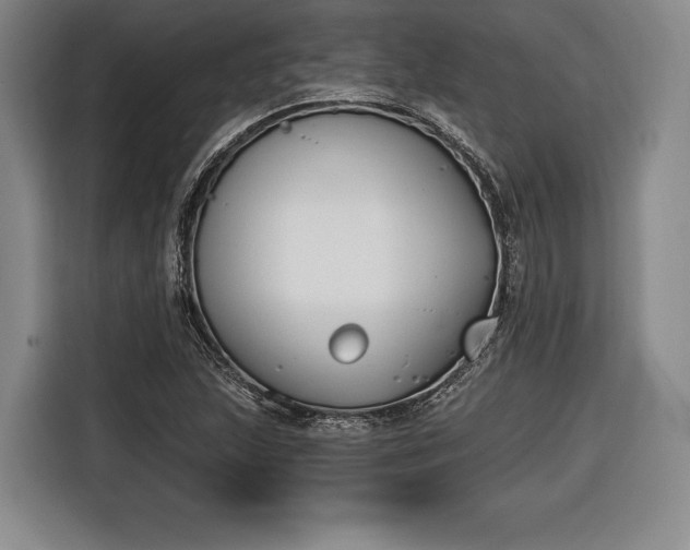 X0000116651215200912211440