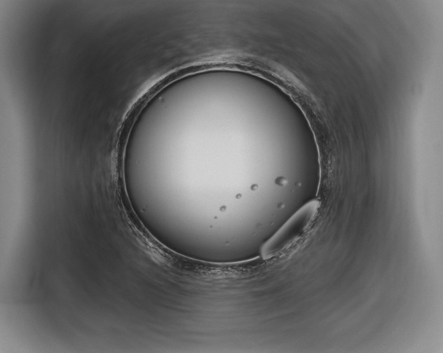 X0000116651216200912211440