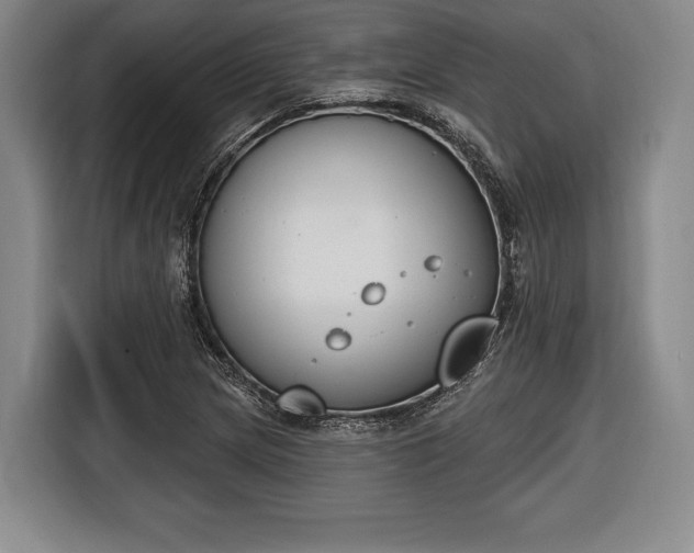 X0000116651217200912211440