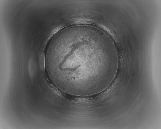 X0000116651219200912211440