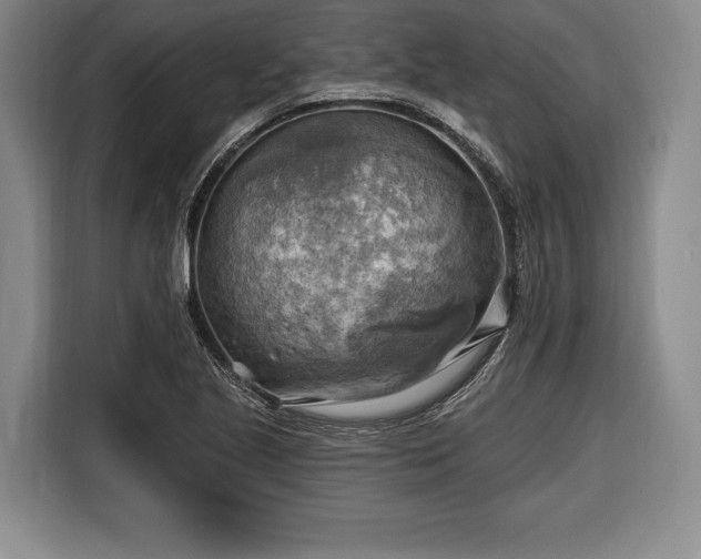 X0000116651221200912211440