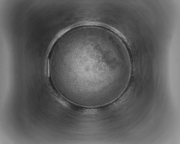 X0000116651223200912211440