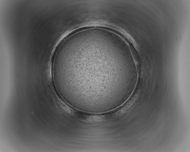 X0000116651224200912211440