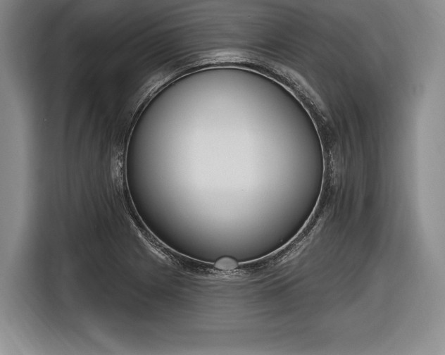 X0000116651225200912211440