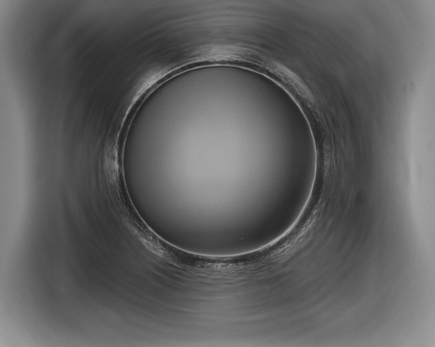 X0000116651226200912211440