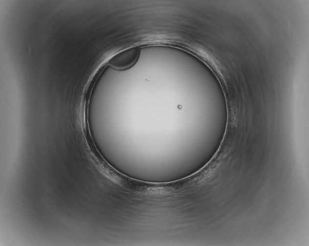X0000116651227200912211441