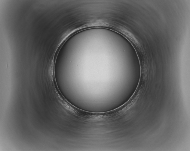 X0000116651228200912211441