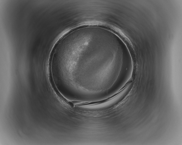X0000116651229200912211441