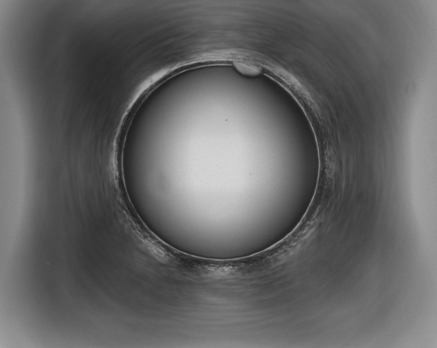 X0000116651230200912211441