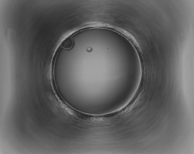 X0000116651231200912211441