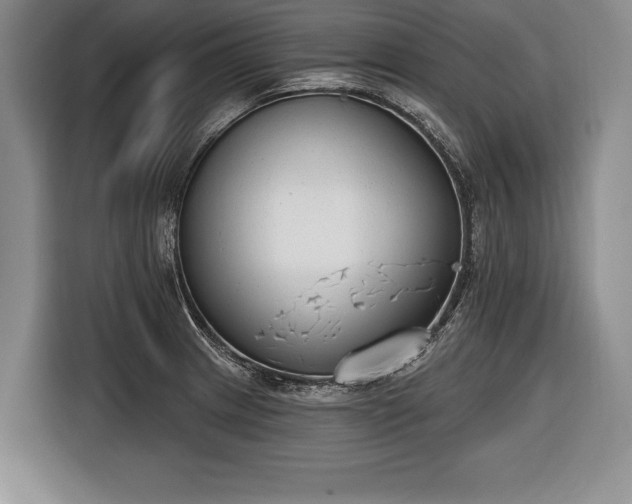 X0000116651233200912211441