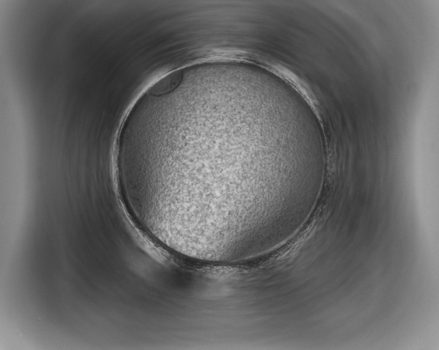 X0000116651235200912211441