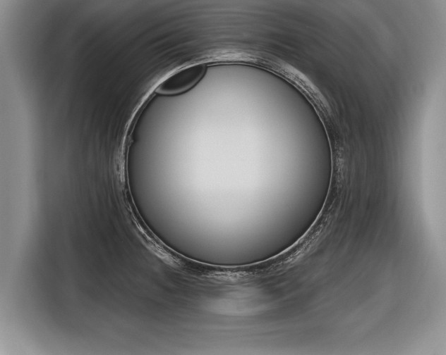 X0000116651236200912211441