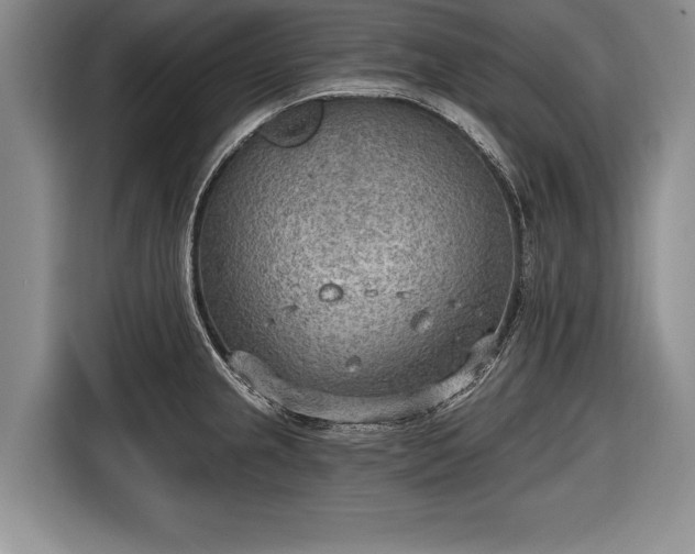 X0000116651237200912211441