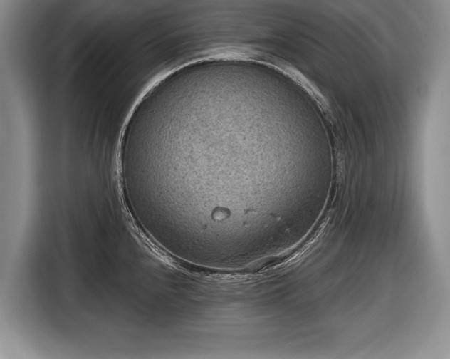 X0000116651240200912211441