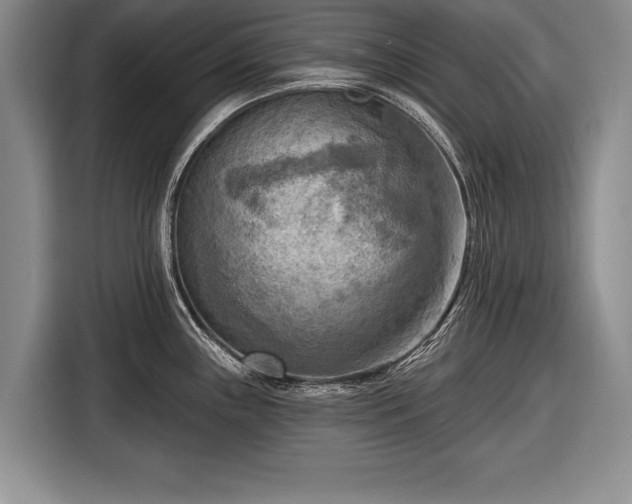X0000116651243200912211441