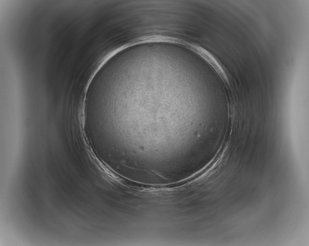 X0000116651244200912211441