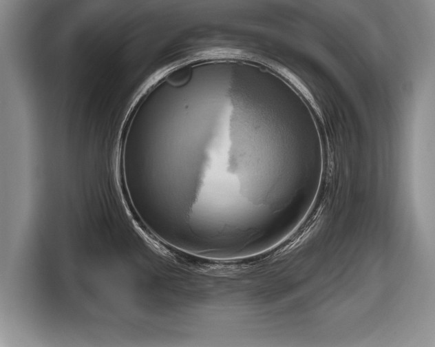 X0000116651245200912211441