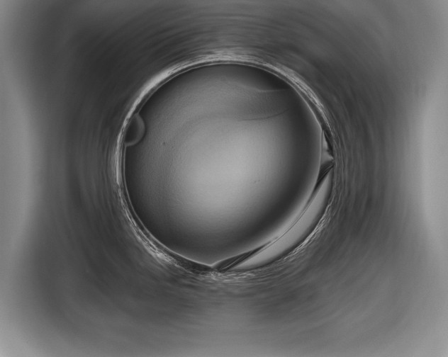 X0000116651246200912211441