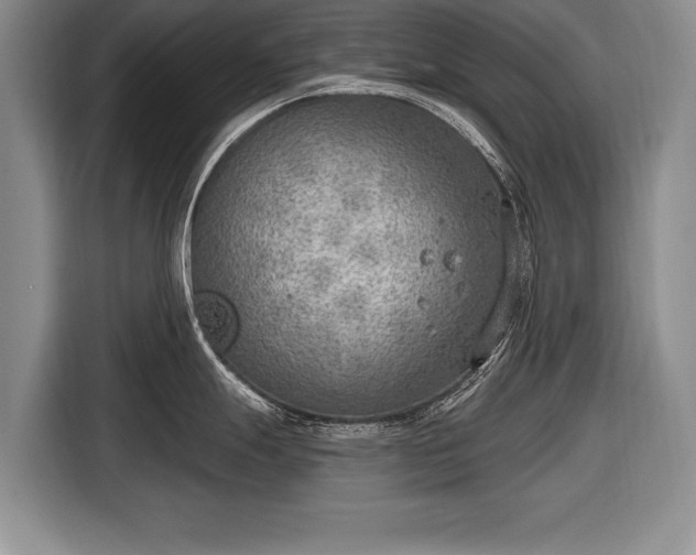 X0000116651247200912211441