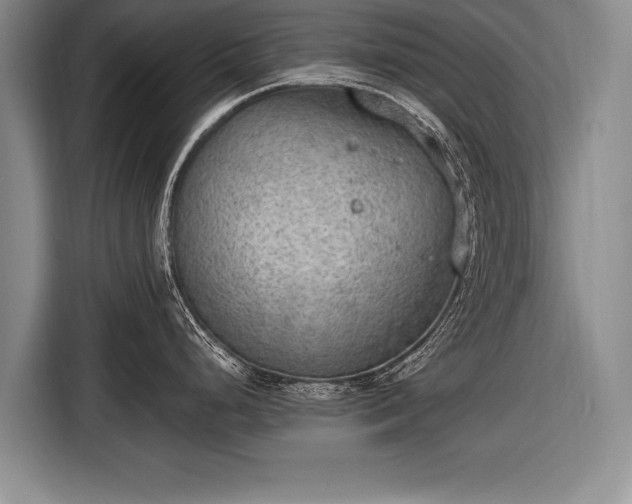 X0000116651248200912211441