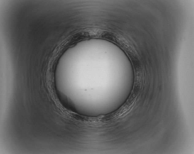 X0000116651249200912211440