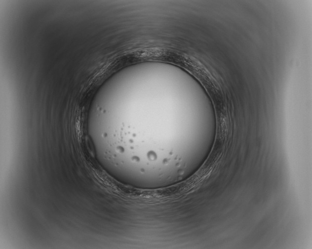 X0000116651250200912211440