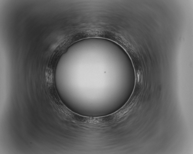 X0000116651251200912211440