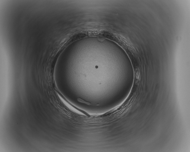 X0000116651252200912211440