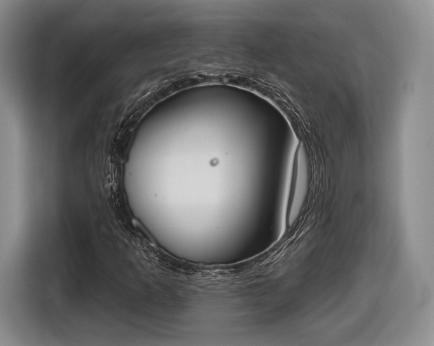 X0000116651253200912211440