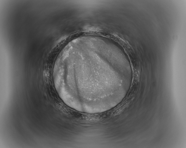 X0000116651254200912211440