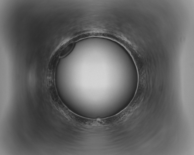 X0000116651255200912211440