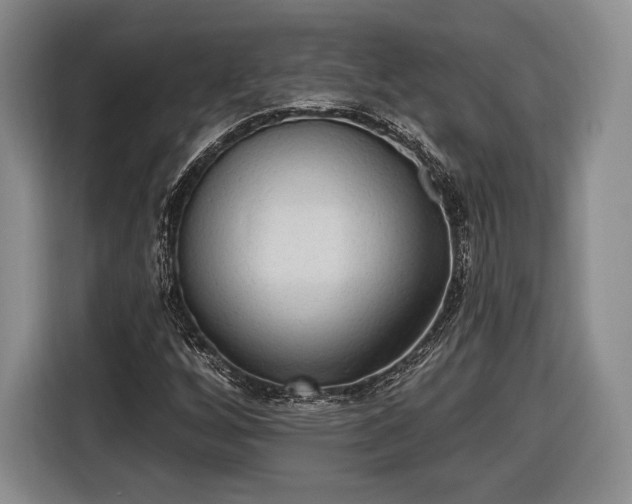 X0000116651256200912211440