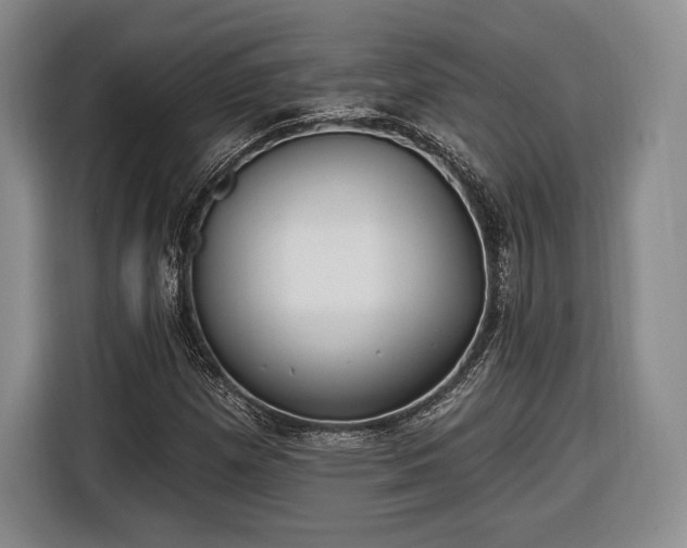 X0000116651257200912211440