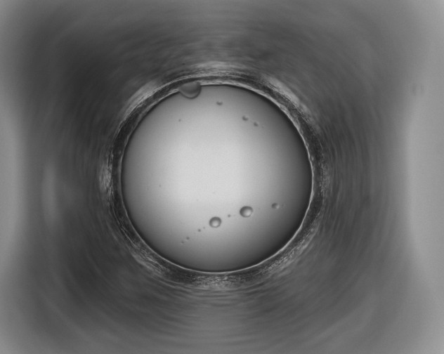 X0000116651259200912211440