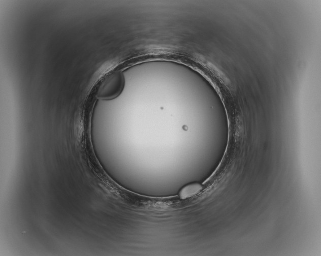 X0000116651261200912211440