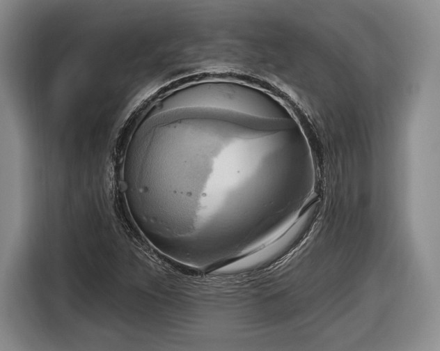 X0000116651263200912211440