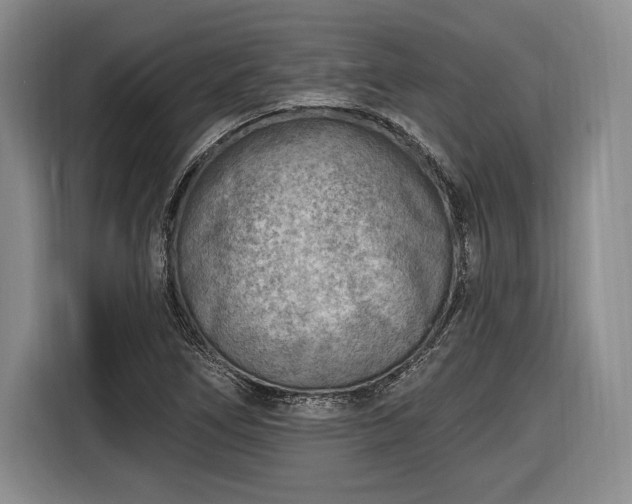 X0000116651266200912211440