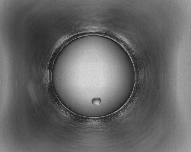 X0000116651267200912211440