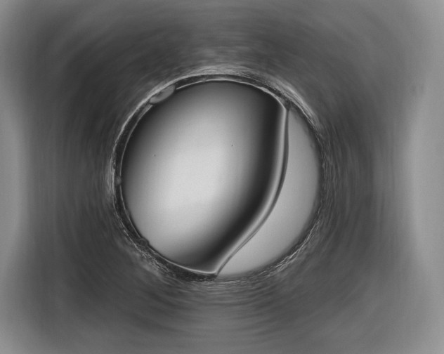 X0000116651268200912211440