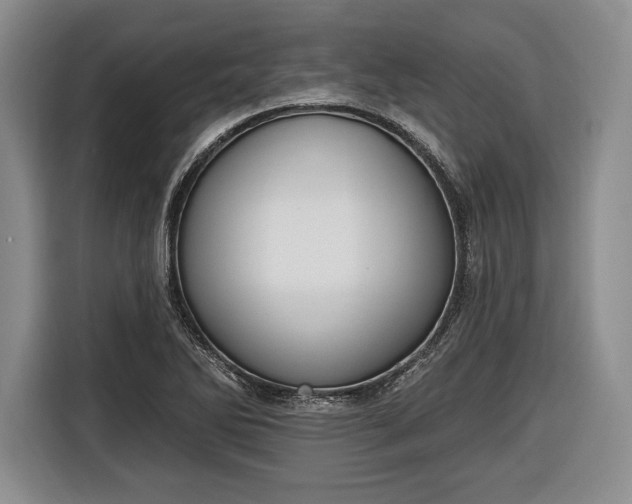X0000116651270200912211440