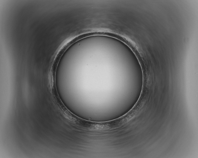 X0000116651271200912211440