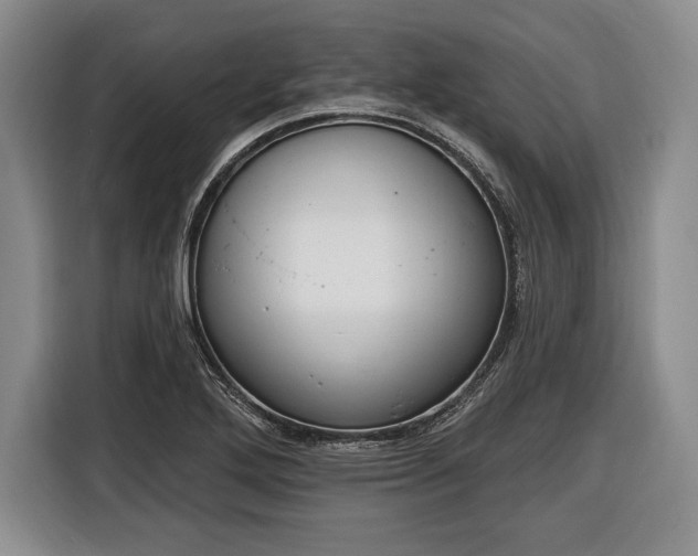 X0000116651272200912211440