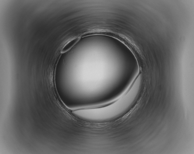 X0000116651273200912211440